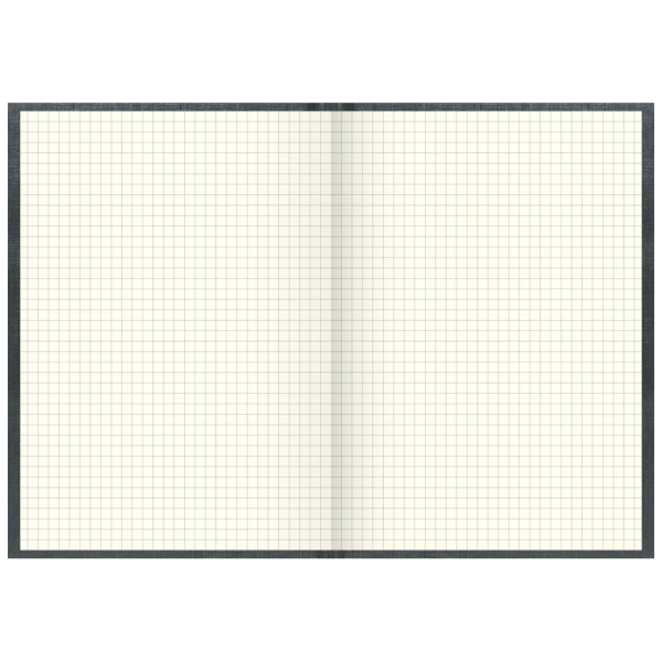 Geschäftsbuch | A5, 288 Seiten, kariert, Kunststoff, grau Verkauf – Bild 2