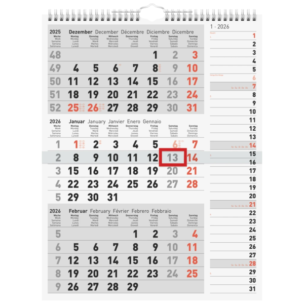 3-Monatskalender 2026 | grau, 300×390 mm Online-Schn?ppchen