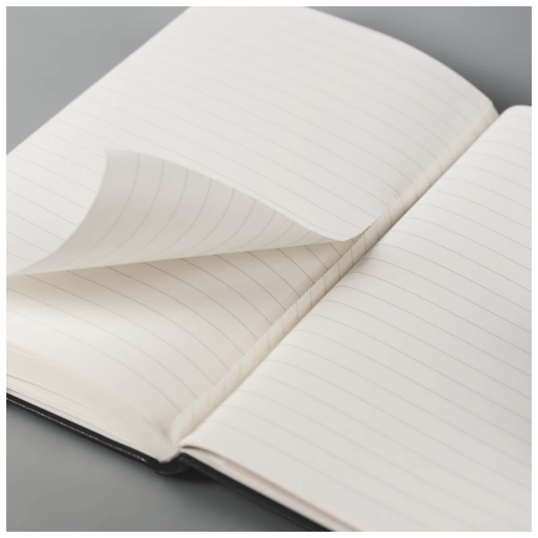 Notizbuch Kompagnon Metallic | A5, punktiert, Gummizugverschluss, goldfarben Online-Schn?ppchen – Bild 5